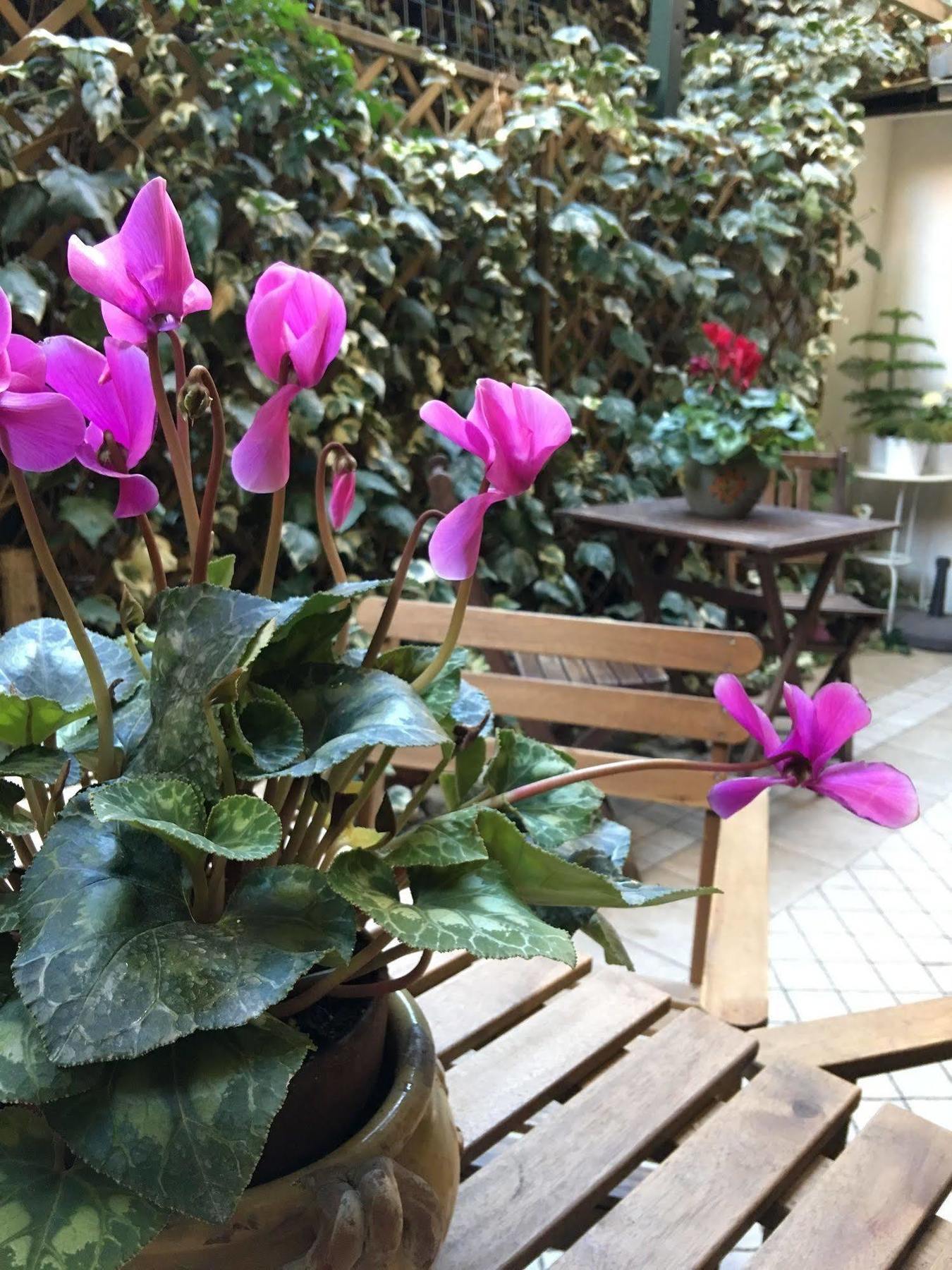 St. John Rome B&B Ngoại thất bức ảnh